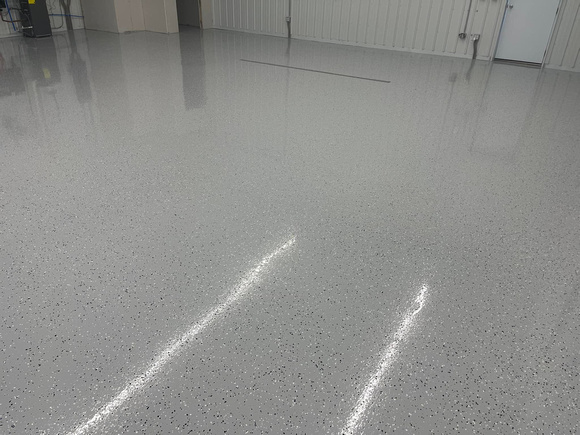 GP flake in Moores Hill, IN by Greens' Pure Coatings 5
