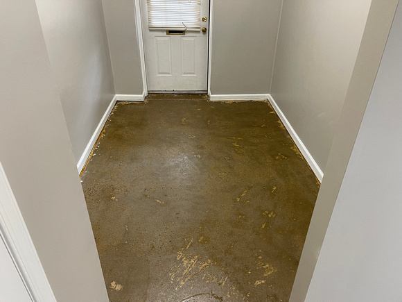 Commercial doggy daycare flake by DCE Flooring LLC 18