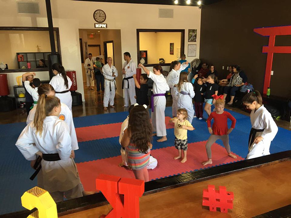 #11 Keiko Shin Karate - new studio in Lutz, FL reflector by Solid Ground LLC - 3