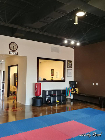 #11 Keiko Shin Karate - new studio in Lutz, FL reflector by Solid Ground LLC - 7
