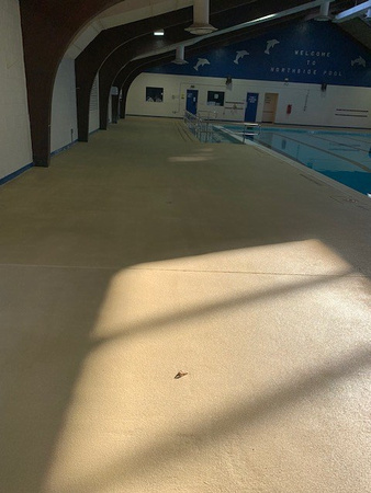 Norfolk, VA indoor pool deck knock down Thin-finish and ccs with stenciled depth markers by Distinguished Designs Decorative Concrete Coatings and Epoxy Floors @ddconcrete.net - 2