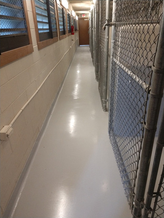 Kennels on Hunter Army air station, in Savannah, GA for military trained dogs neat with cove and cvp ceramic wall coating - 2