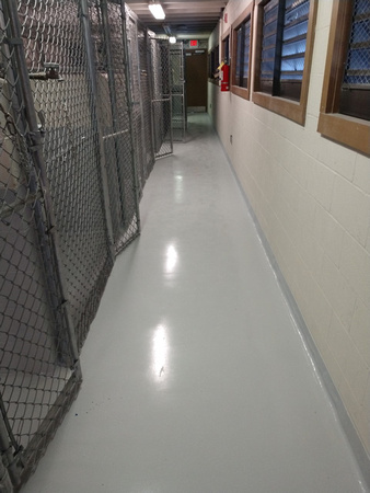 Kennels on Hunter Army air station, in Savannah, GA for military trained dogs neat with cove and cvp ceramic wall coating - 4