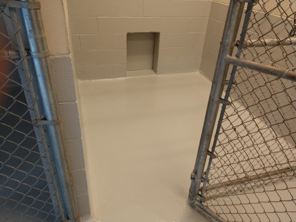 Kennels on Hunter Army air station, in Savannah, GA for military trained dogs neat with cove and cvp ceramic wall coating - 5