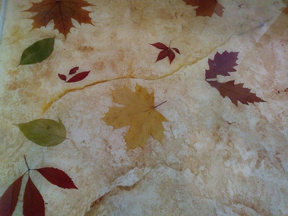 Stamped concrete with autumn leaf by Zubek Dariusz Duszek - 5