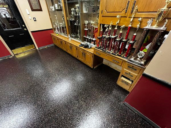American Hose Hook and Ladder Co 2 HERMETIC™ Flake by DCE Flooring LLC 3