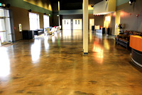 #10 Commercial hotel by SBR Concrete Polishing - 4