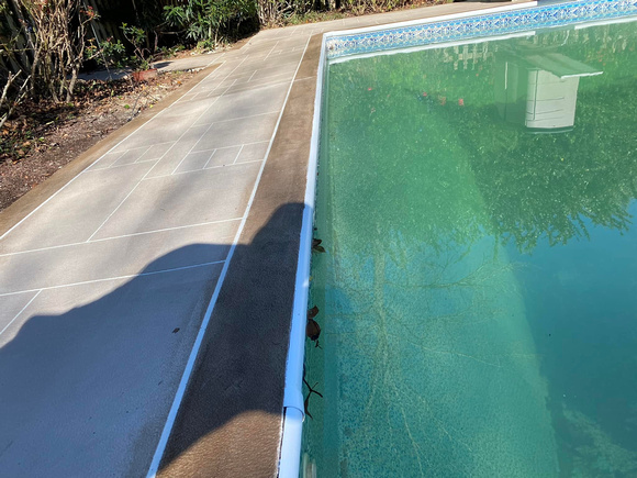 Pool deck thin finish by The Surface Pros, Inc 3