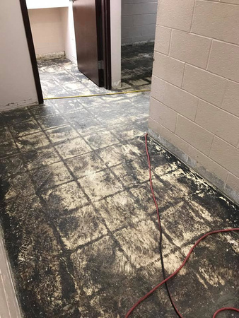 #11 Locker room Had to use Tnemec's high content moisture primer but used PT-1 throughout by Extreme Floor Coatings, LLC - 9