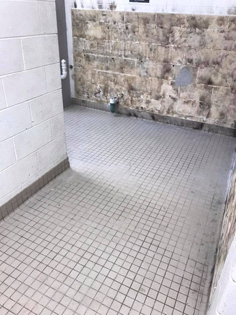 #38 Troy Middle bathroom Quartz by Extreme Floor Coatings LLC - 10