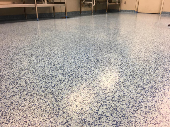 Sea Life food prep area in MOA flake by Riley by Design - 2