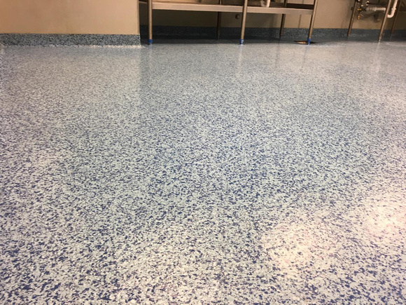 Sea Life food prep area in MOA flake by Riley by Design - 4