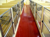 #13 Kennel and pet care facility red quartz from john keller - 1