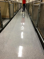 #15 Kennel quartz by Mid-West Coatings, Inc. - 2