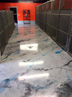 #16 Dog grooming and kennel in Wetmore, MI Charcoal pearl, sky blue and titanium reflector by Pemble Concrete Coatings - 1