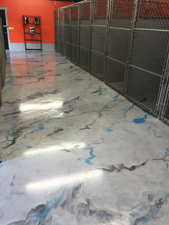 #16 Dog grooming and kennel in Wetmore, MI Charcoal pearl, sky blue and titanium reflector by Pemble Concrete Coatings - 2