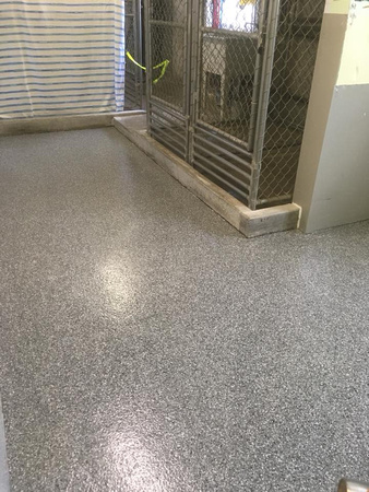 Arnprior & District Humane Society kennel flake by L-A Concrete Finishing - 1