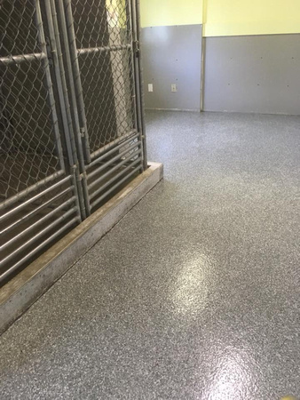 Arnprior & District Humane Society kennel flake by L-A Concrete Finishing - 2