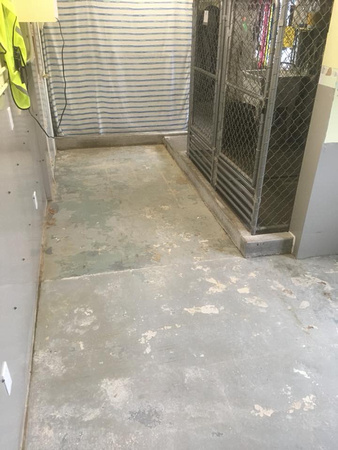 Arnprior & District Humane Society kennel flake by L-A Concrete Finishing - 6