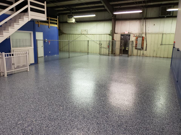 Happy Puppy in Naperville, IL flake by American Floor Coatings - 1