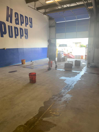 Happy Puppy in Naperville, IL flake by American Floor Coatings - 5