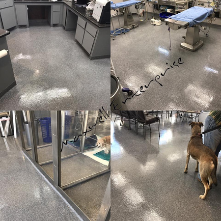 Neel Veterinary Hospital in OK City flake wtih spartic-all by Maxwell Enterprise