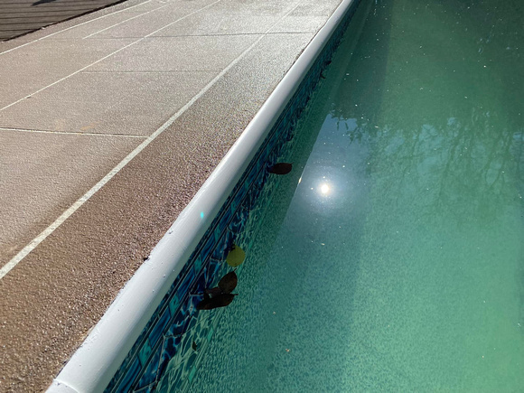 Pool deck thin finish by The Surface Pros, Inc 2