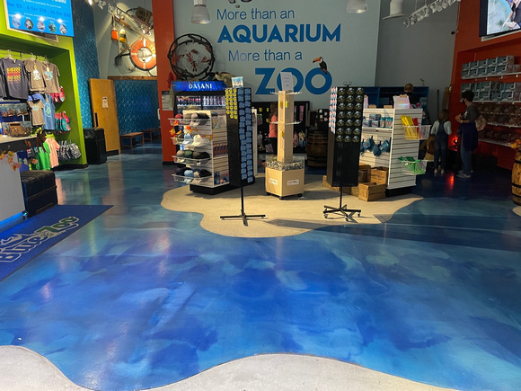 Blue Zoo Spokane in Northtown Mall reflector jr pg 1